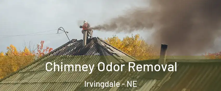 Chimney Odor Removal Irvingdale - NE