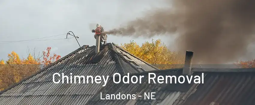 Chimney Odor Removal Landons - NE