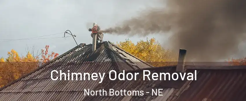 Chimney Odor Removal North Bottoms - NE