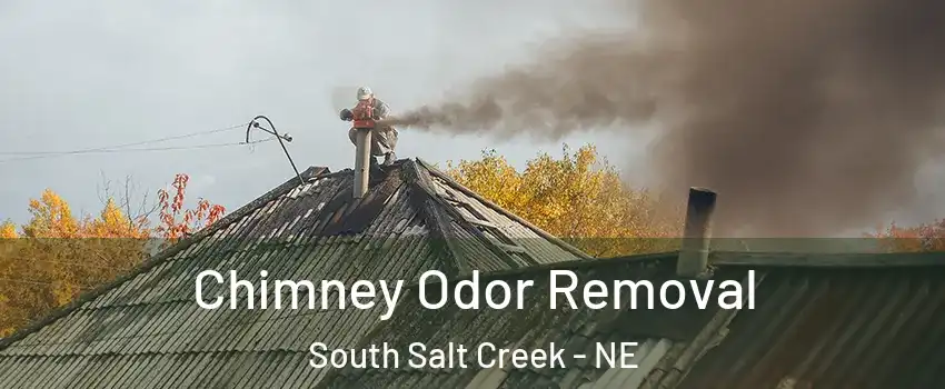 Chimney Odor Removal South Salt Creek - NE