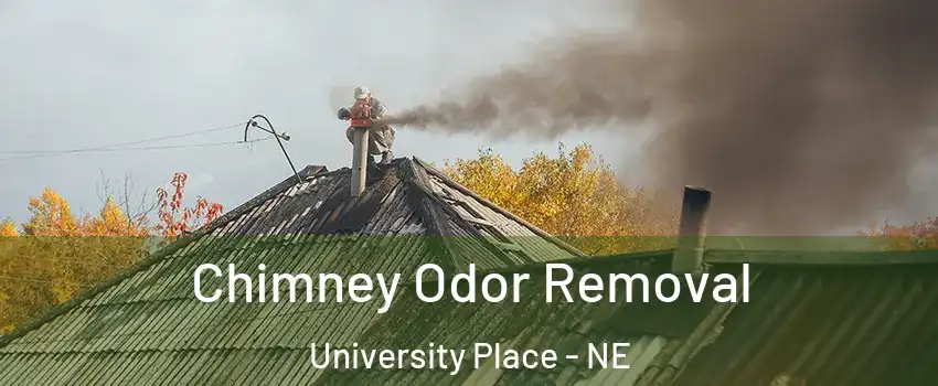 Chimney Odor Removal University Place - NE