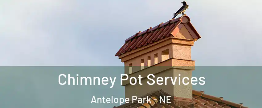 Chimney Pot Services Antelope Park - NE