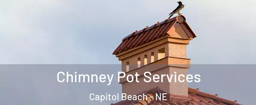 Chimney Pot Services Capitol Beach - NE