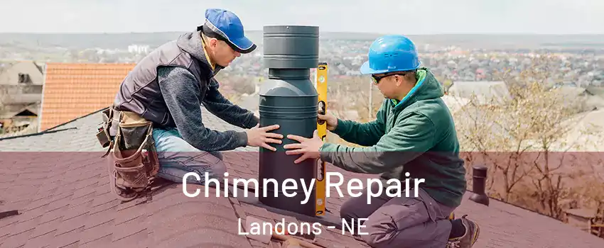 Chimney Repair Landons - NE