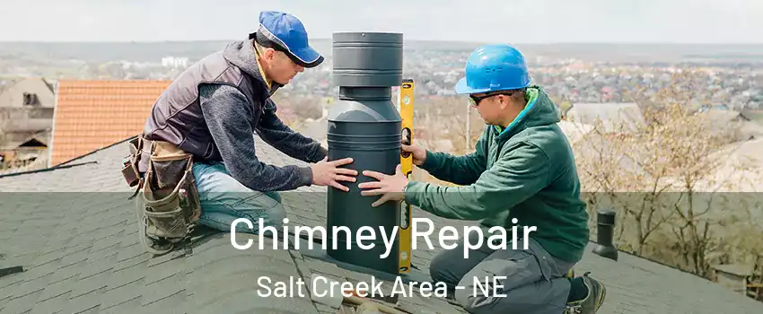 Chimney Repair Salt Creek Area - NE