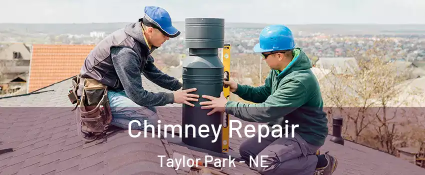 Chimney Repair Taylor Park - NE