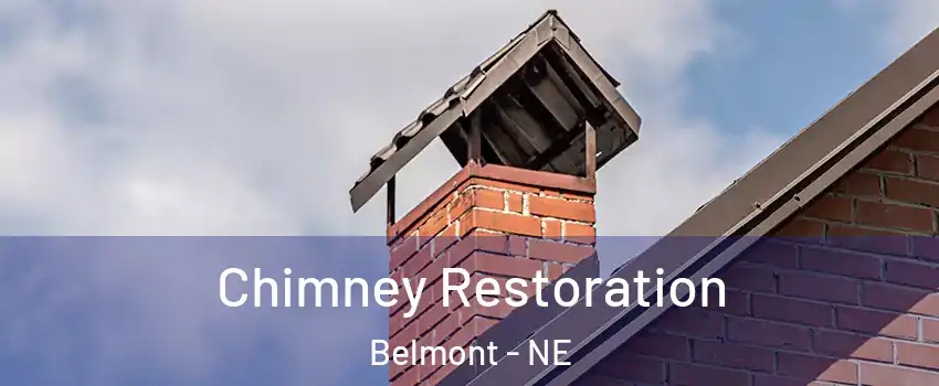 Chimney Restoration Belmont - NE
