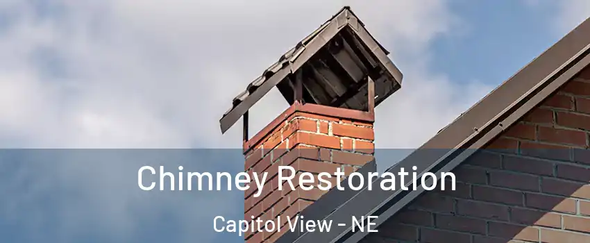 Chimney Restoration Capitol View - NE