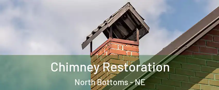 Chimney Restoration North Bottoms - NE