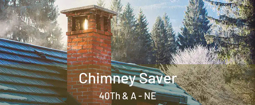 Chimney Saver 40Th & A - NE