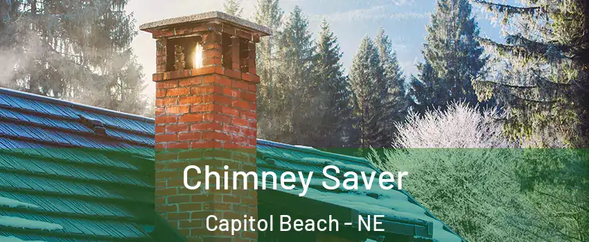 Chimney Saver Capitol Beach - NE