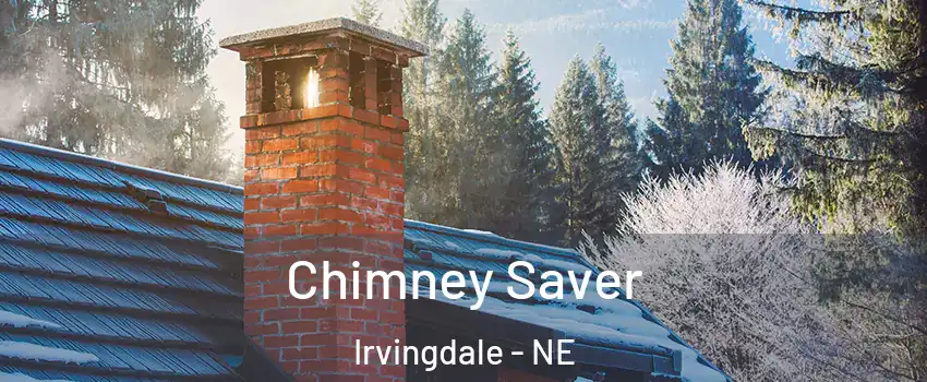 Chimney Saver Irvingdale - NE