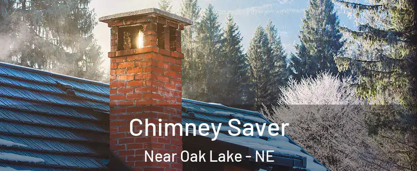 Chimney Saver Near Oak Lake - NE