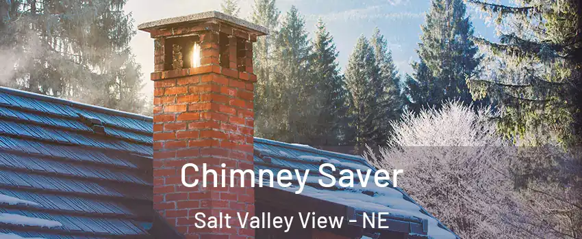 Chimney Saver Salt Valley View - NE