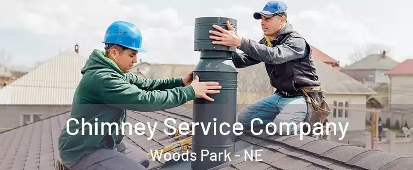 Chimney Service Company Woods Park - NE