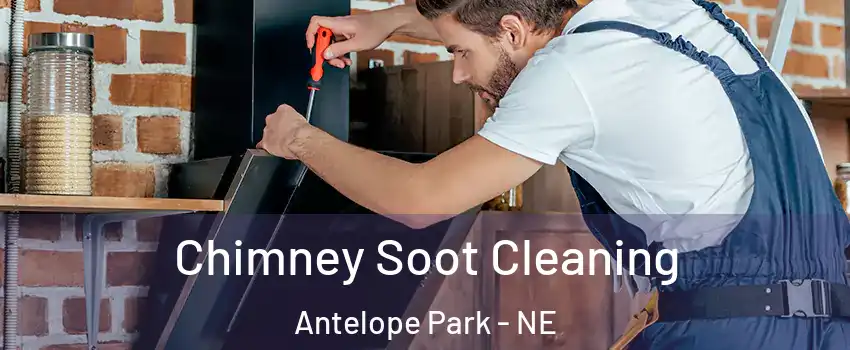 Chimney Soot Cleaning Antelope Park - NE