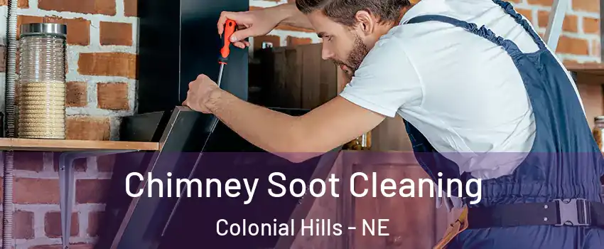 Chimney Soot Cleaning Colonial Hills - NE