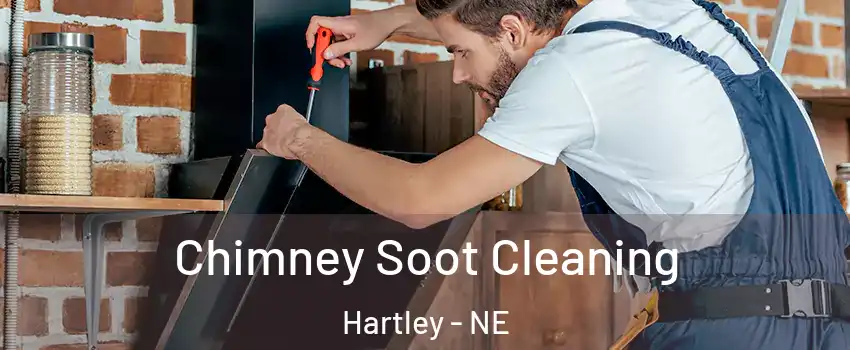 Chimney Soot Cleaning Hartley - NE