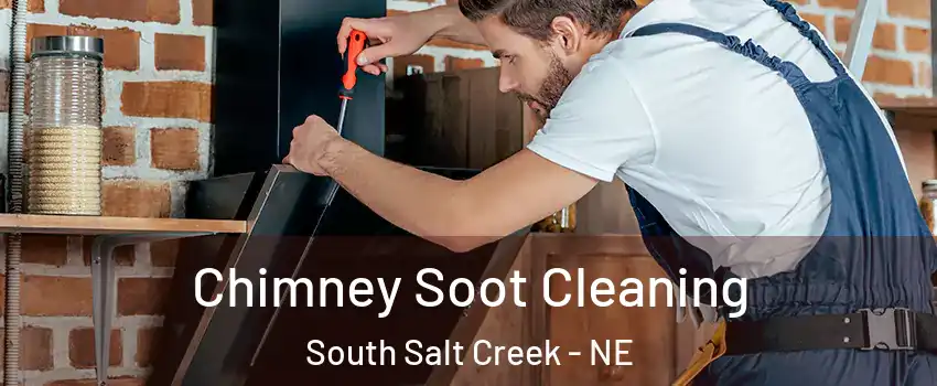 Chimney Soot Cleaning South Salt Creek - NE