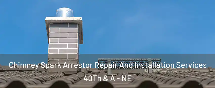 Chimney Spark Arrestor Repair And Installation Services 40Th & A - NE