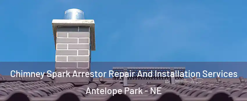 Chimney Spark Arrestor Repair And Installation Services Antelope Park - NE