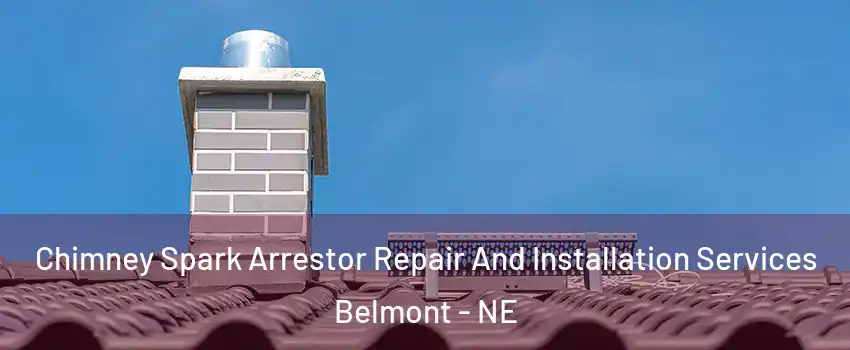 Chimney Spark Arrestor Repair And Installation Services Belmont - NE