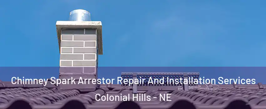 Chimney Spark Arrestor Repair And Installation Services Colonial Hills - NE