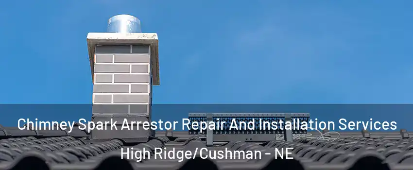 Chimney Spark Arrestor Repair And Installation Services High Ridge/Cushman - NE