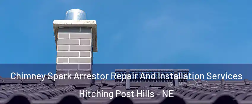 Chimney Spark Arrestor Repair And Installation Services Hitching Post Hills - NE