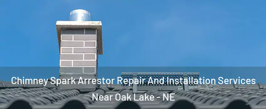 Chimney Spark Arrestor Repair And Installation Services Near Oak Lake - NE