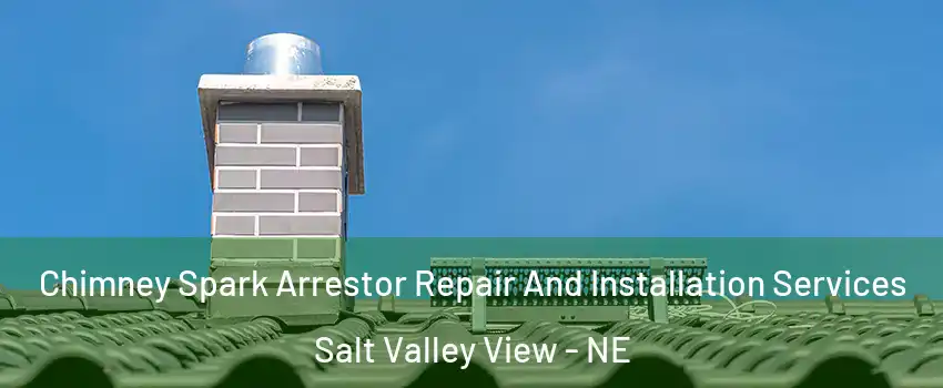 Chimney Spark Arrestor Repair And Installation Services Salt Valley View - NE