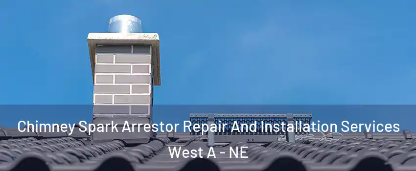 Chimney Spark Arrestor Repair And Installation Services West A - NE