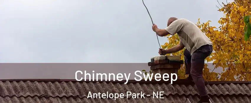 Chimney Sweep Antelope Park - NE