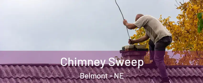 Chimney Sweep Belmont - NE