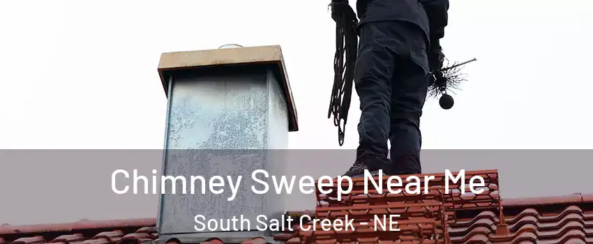 Chimney Sweep Near Me South Salt Creek - NE