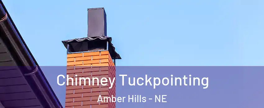 Chimney Tuckpointing Amber Hills - NE