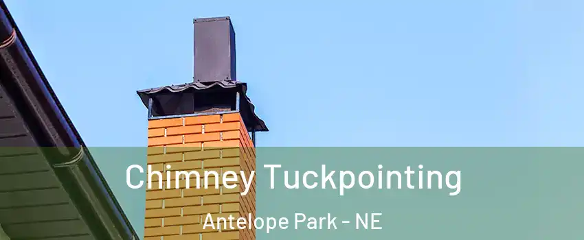 Chimney Tuckpointing Antelope Park - NE