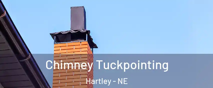 Chimney Tuckpointing Hartley - NE