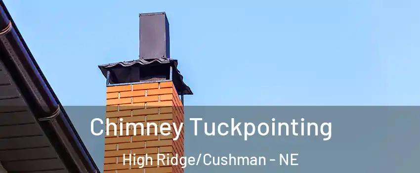 Chimney Tuckpointing High Ridge/Cushman - NE