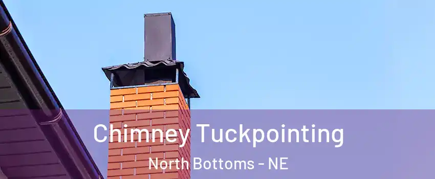 Chimney Tuckpointing North Bottoms - NE