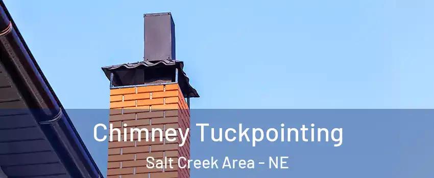 Chimney Tuckpointing Salt Creek Area - NE