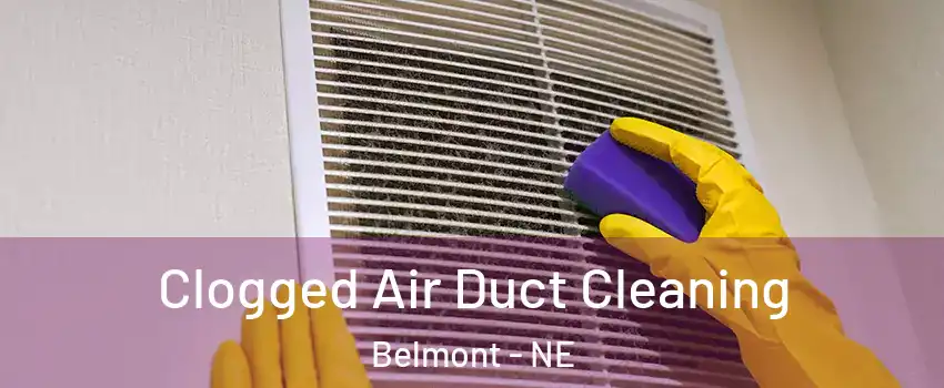 Clogged Air Duct Cleaning Belmont - NE