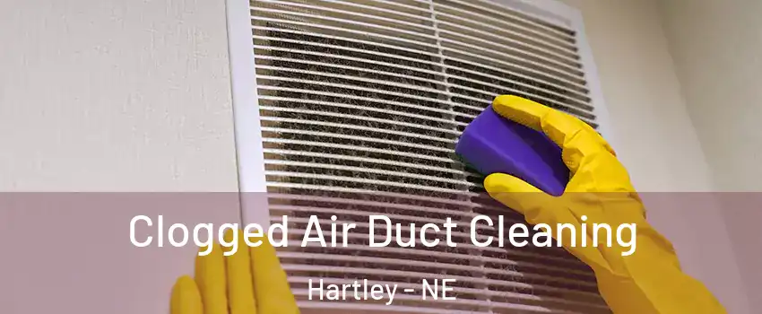 Clogged Air Duct Cleaning Hartley - NE