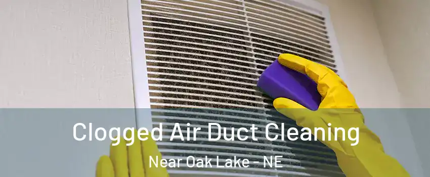 Clogged Air Duct Cleaning Near Oak Lake - NE