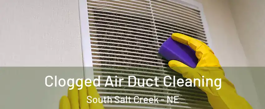 Clogged Air Duct Cleaning South Salt Creek - NE