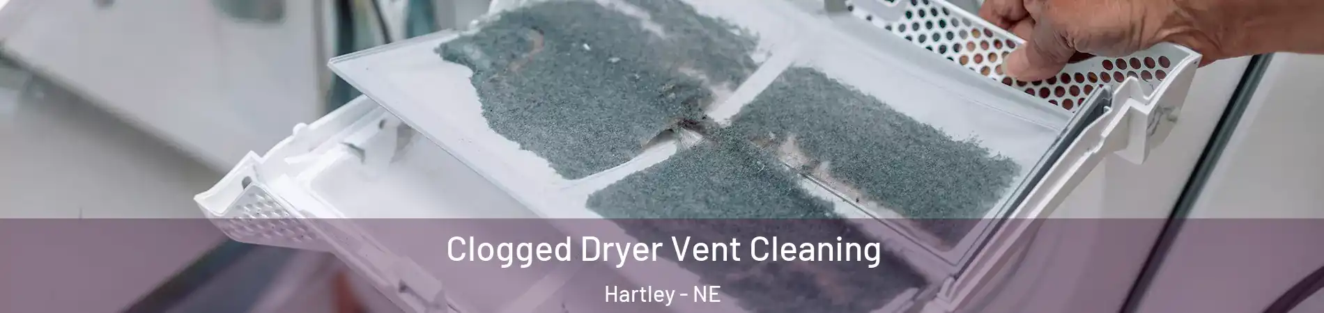 Clogged Dryer Vent Cleaning Hartley - NE