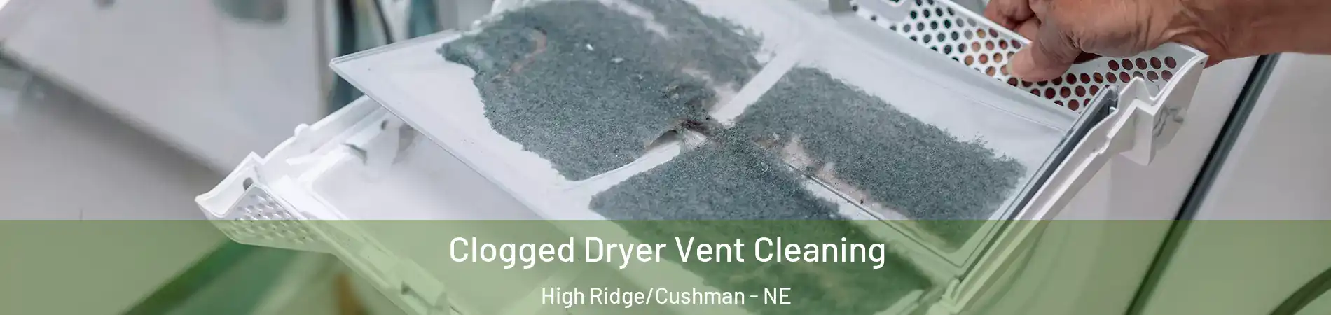 Clogged Dryer Vent Cleaning High Ridge/Cushman - NE