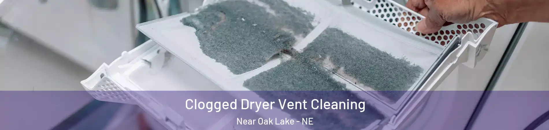 Clogged Dryer Vent Cleaning Near Oak Lake - NE