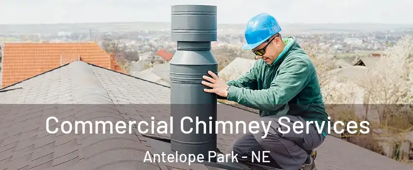 Commercial Chimney Services Antelope Park - NE