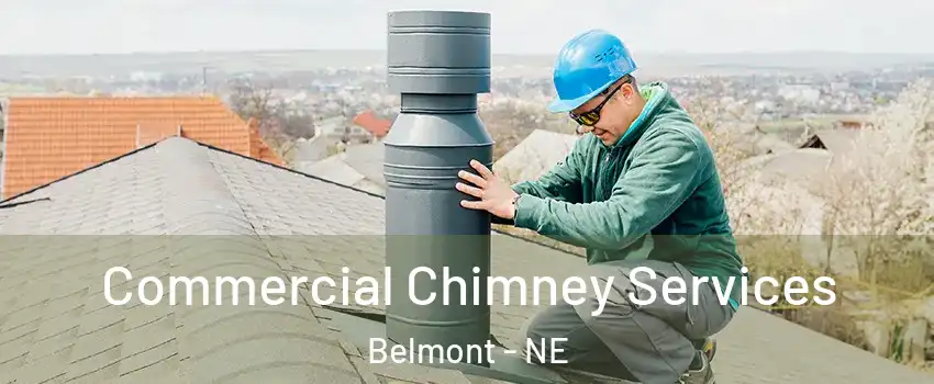 Commercial Chimney Services Belmont - NE